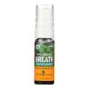 Herb Pharm - Breath Refrshr Sprmnt - 1 Each-.47 Fz