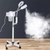 2 in 1 Professional Facial Steamer Ionic Ozone Hot Mist Stand for Salon Skin Cleaning