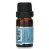 CARROLL & CHAN - Fragrance Oil - # Midnight Jasmine 010303 10ml/0.3oz