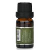 CARROLL & CHAN - Fragrance Oil - # Rosal 018903 10ml/0.3oz