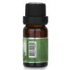 CARROLL & CHAN - Fragrance Oil - # Tropical Forest 009802 10ml/0.3oz