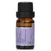CARROLL & CHAN - Fragrance Oil - # Lavender 681731 10ml/0.3oz