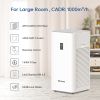 Air Purifier [Price-Limited Product]
