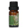 CARROLL & CHAN - Fragrance Oil - # Tropical Forest 009802 10ml/0.3oz