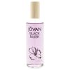 Jovan Black Musk by Jovan for Women - 3.25 oz Cologne Concentrate Spray
