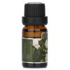 CARROLL & CHAN - Fragrance Oil - # Rosal 018903 10ml/0.3oz